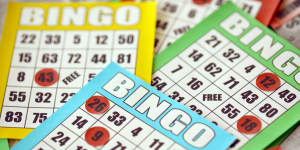 Bingo Night 2024