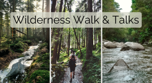 Wilderness Walk and Talks